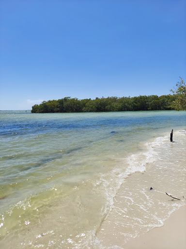 Nature Preserve «San Carlos Bay - Bunche Beach Preserve», reviews and photos, 18201 John Morris Rd, Fort Myers, FL 33908, USA
