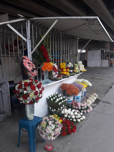 Floreria Nana – Chicoloapan de Juárez
