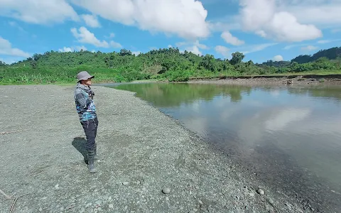 Agusan River image