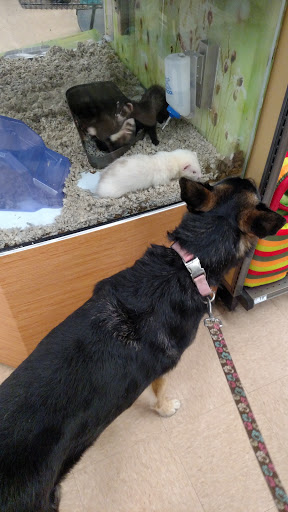 Pet Supply Store «Petco Animal Supplies», reviews and photos, 1015 Fording Island Rd, Bluffton, SC 29910, USA