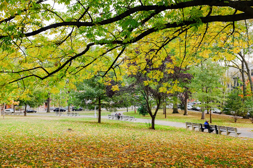 Park «Astoria Park», reviews and photos, 19 19th St, Queens, NY 11105, USA