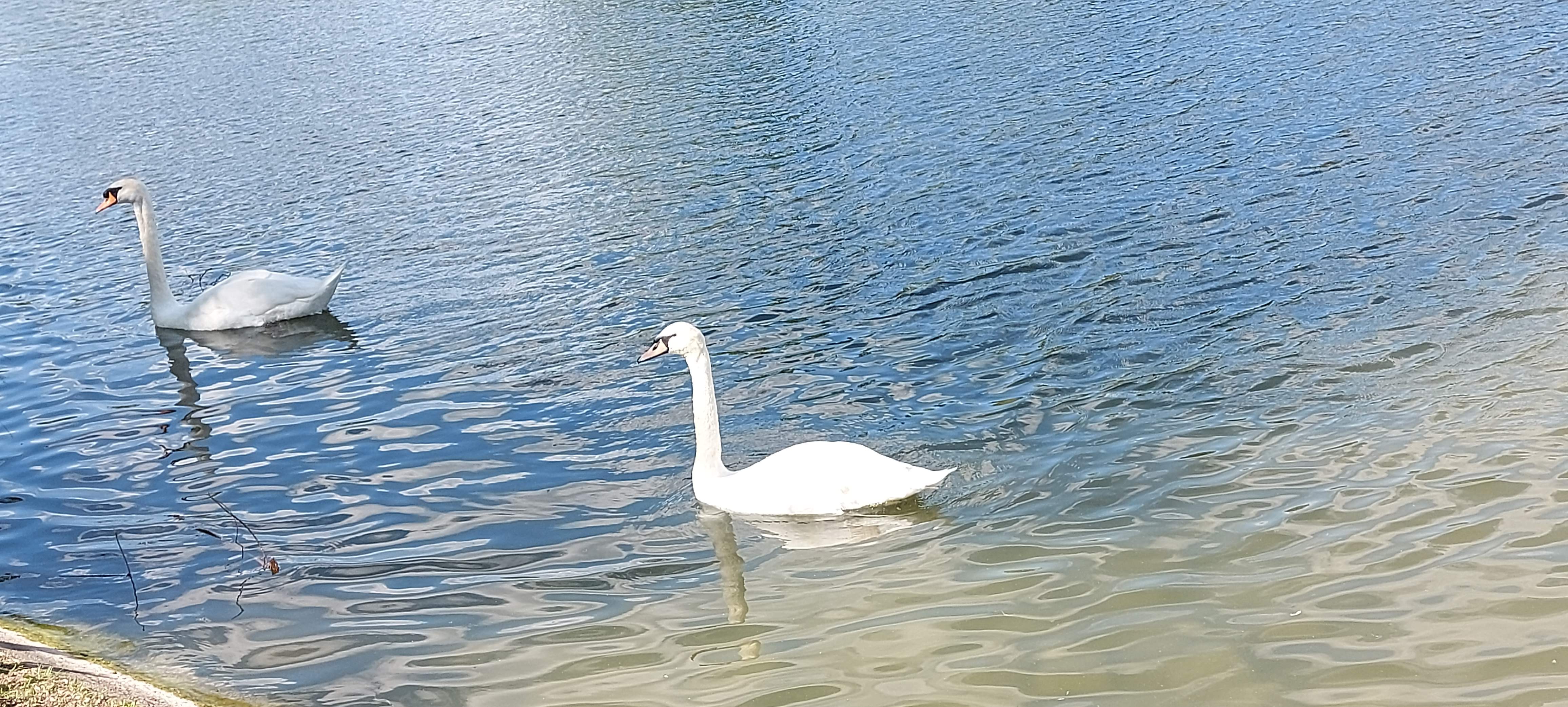 Photo n° 23 de l'avis de gwadilina.l fait le 12/05/2022 à 00:30