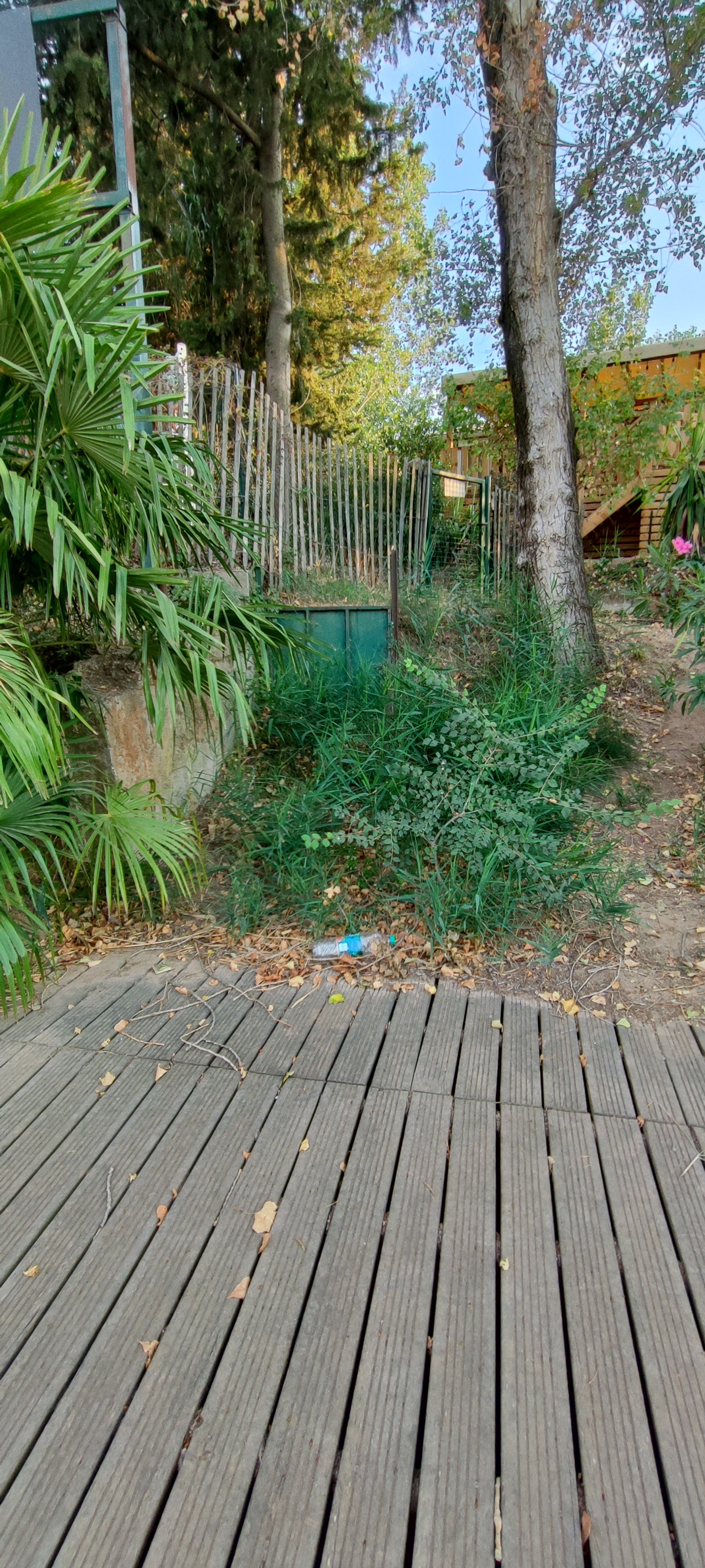 Photo n° 2 de l'avis de Sissia59.a fait le 22/08/2023 à 12:51
