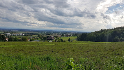 Kürnbergerwald