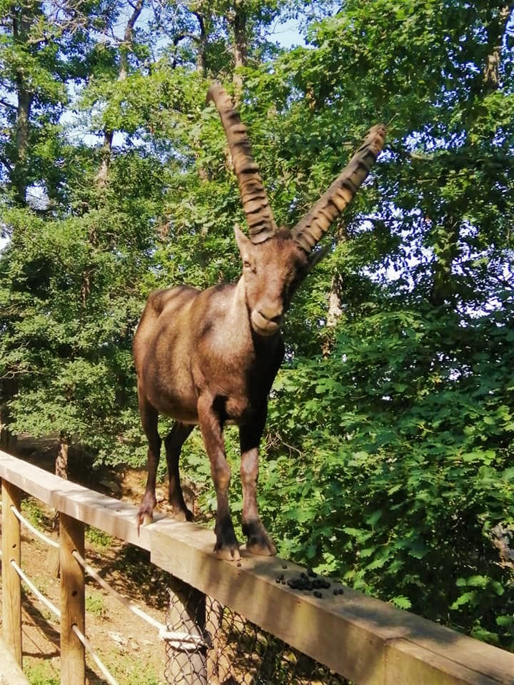 Photo n° 2 de l'avis de Océane.e fait le 17/08/2021 à 12:18