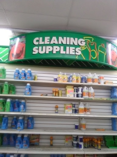 Dollar Store «Dollar Tree», reviews and photos, 11337 Tara Blvd, Hampton, GA 30228, USA