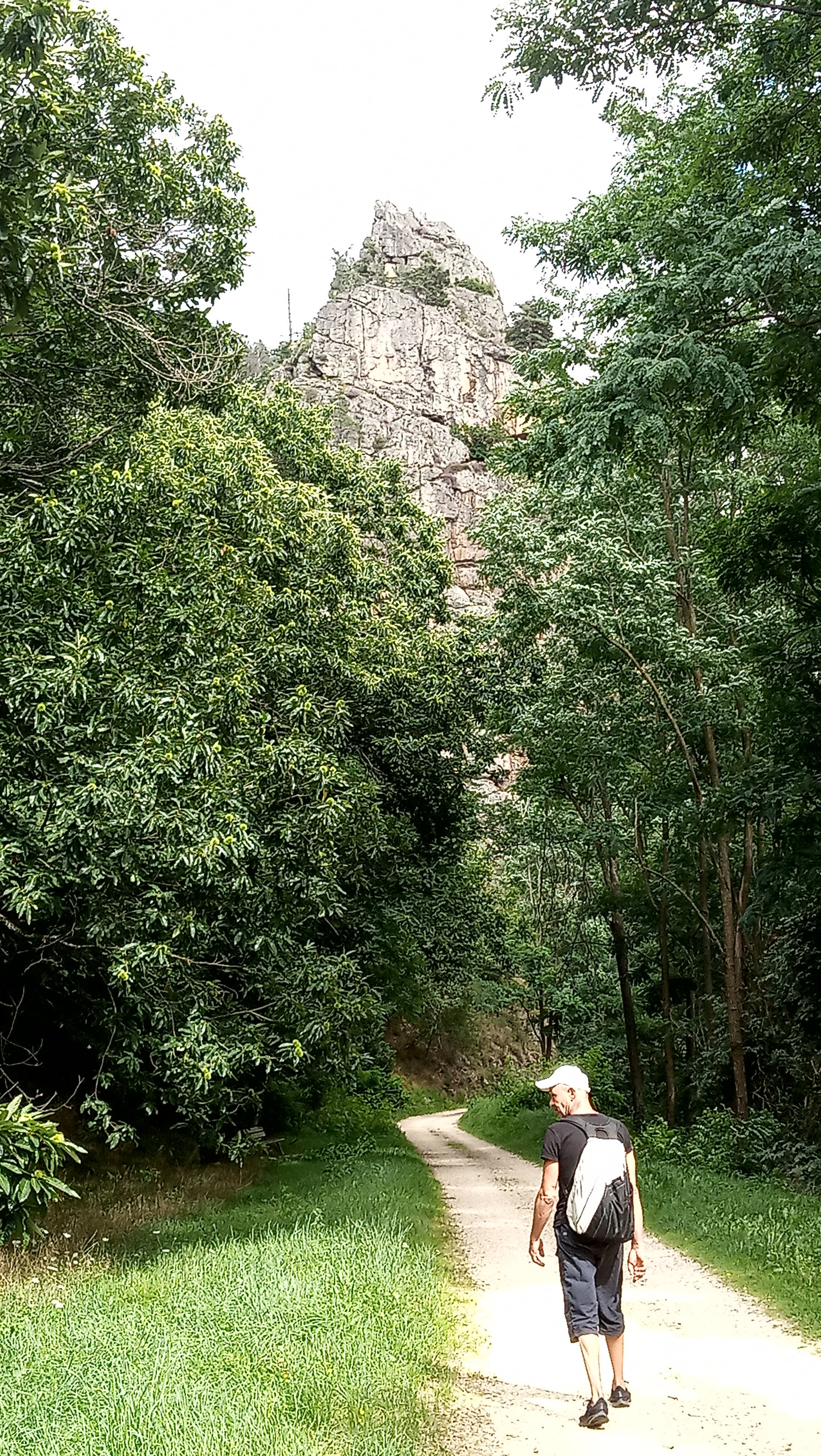 Photo n° 4 de l'avis de Michel. fait le 19/08/2021 à 09:42