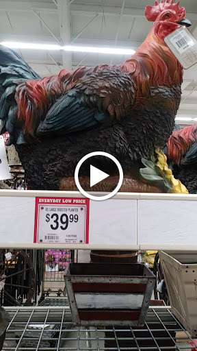 Home Improvement Store «Tractor Supply Co.», reviews and photos, 389 Columbia Rd #10, Hanover, MA 02339, USA