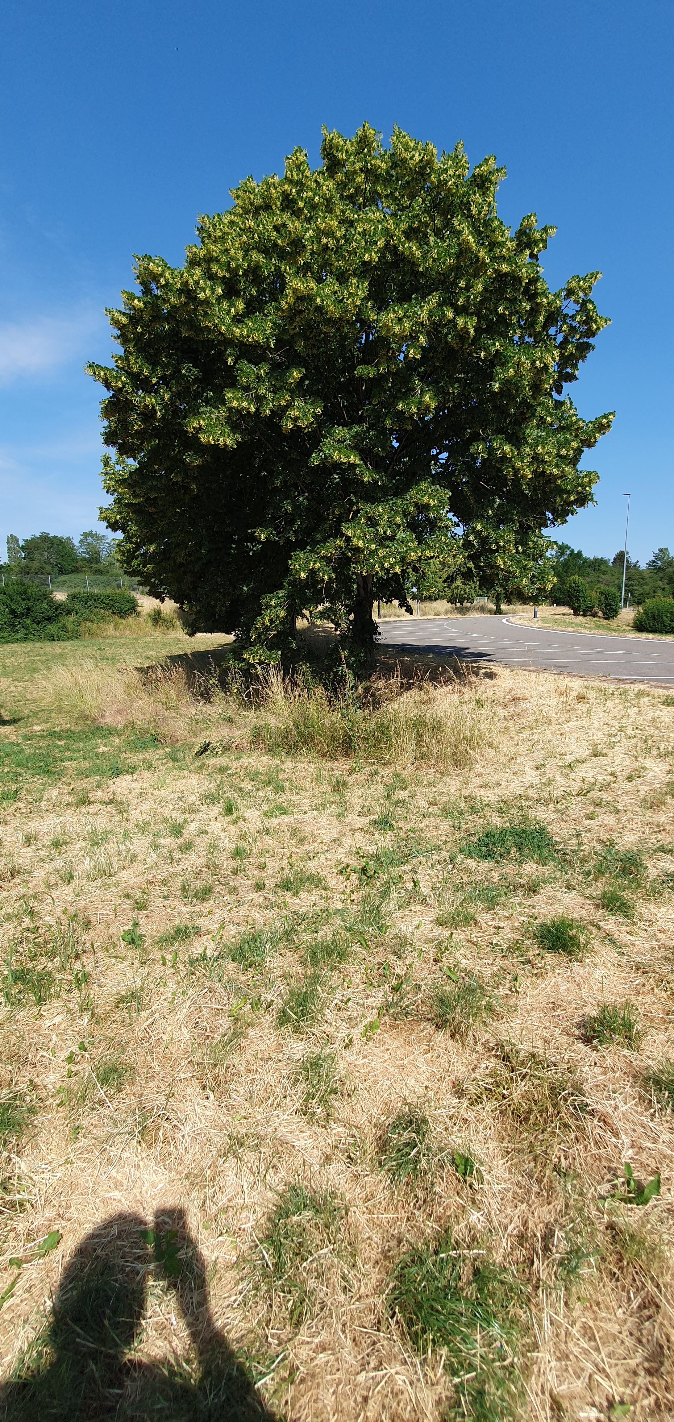 Photo n° 7 de l'avis de KASPAR. fait le 15/06/2023 à 09:27