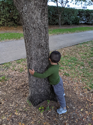 Park «Evelyn Greer Park», reviews and photos, 8200 SW 124th St, Pinecrest, FL 33156, USA