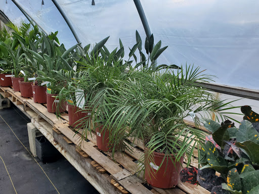 Garden Center «Beachside Gardens & Gifts», reviews and photos, 3725 US-12, Michigan City, IN 46360, USA