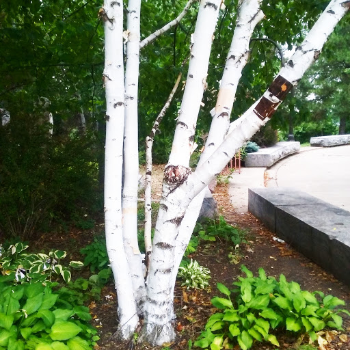 Park «High Bridge Park North», reviews and photos, 476 Smith Ave S, St Paul, MN 55102, USA