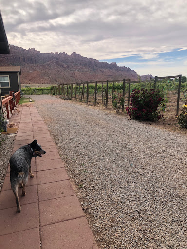 Winery «Spanish Valley Vineyard & Winery», reviews and photos, 4710 Zimmerman Ln, Moab, UT 84532, USA