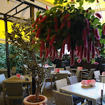 Photo n°4 de l'avis de Dani.v fait le 14/07/2019 à 13:20 sur le  Pizza & Nudelhaus Domizil à Altenburg