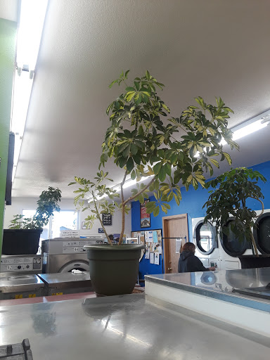 Laundromat «37th Street Coin Laundry», reviews and photos, 1856 37th St, Florence, OR 97439, USA