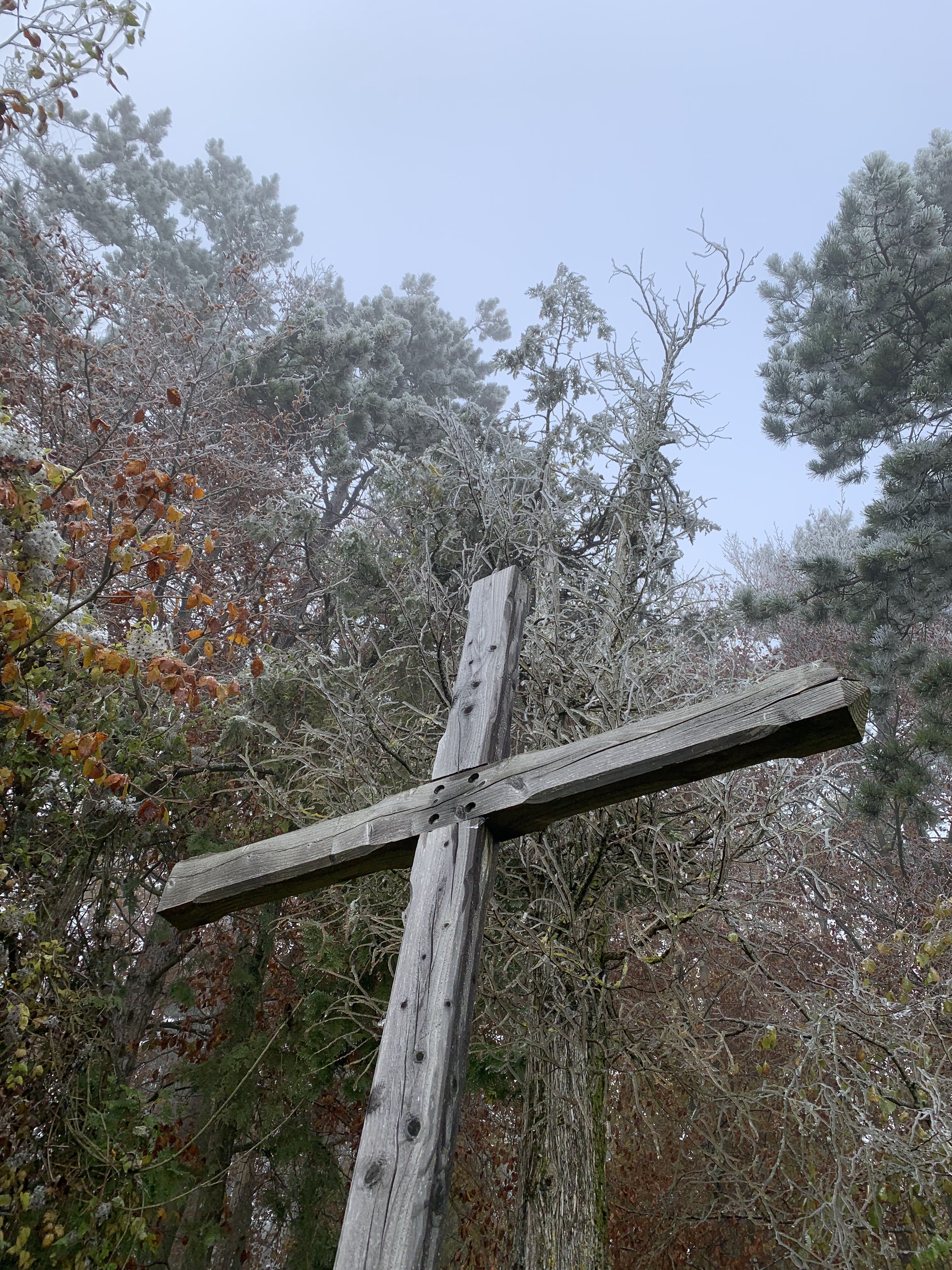 Photo n° 12 de l'avis de David.O fait le 12/11/2021 à 19:51