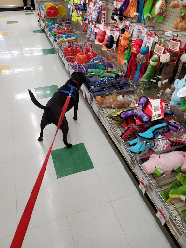 Pet Supply Store «Pet Supplies Plus», reviews and photos, 5348 Dixie Hwy, Waterford Twp, MI 48329, USA