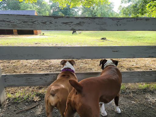 Park «Endicott Park (Town of Danvers)», reviews and photos, 57 Forest St, Danvers, MA 01923, USA