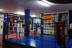 Boxeo Santaolaya image