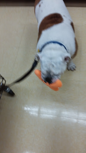 Pet Supply Store «Petco Animal Supplies», reviews and photos, 26209 104th Ave SE, Kent, WA 98030, USA