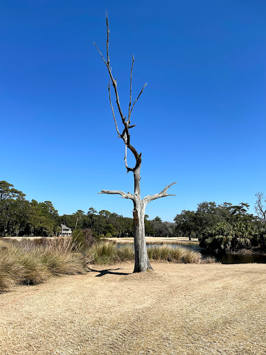 Golf Resort «George Fazio Golf Course», reviews and photos, 2 Carnoustie Rd, Hilton Head Island, SC 29928, USA