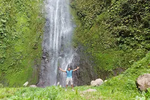 Waterfall of San Ramón image