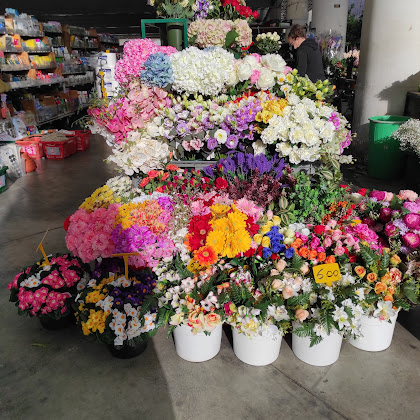 Photos des visiteurs Chambre d'hôtes Affittacamere Everest 19121 La Spezia
