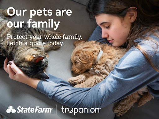 Insurance Agency «Jon Laskin - State Farm Insurance Agent», reviews and photos