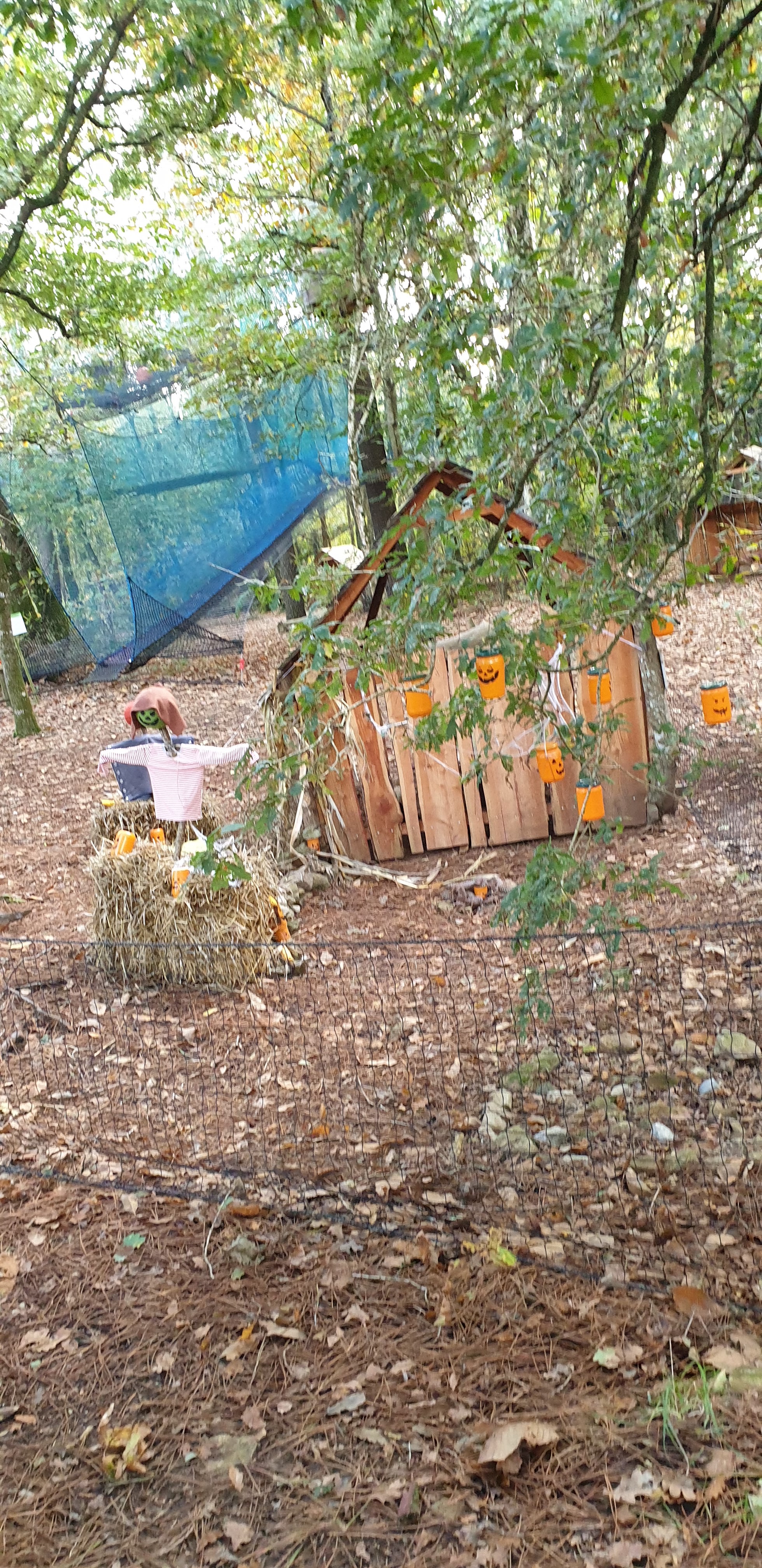 Photo n° 5 de l'avis de Alexandra.e fait le 26/10/2020 à 16:20