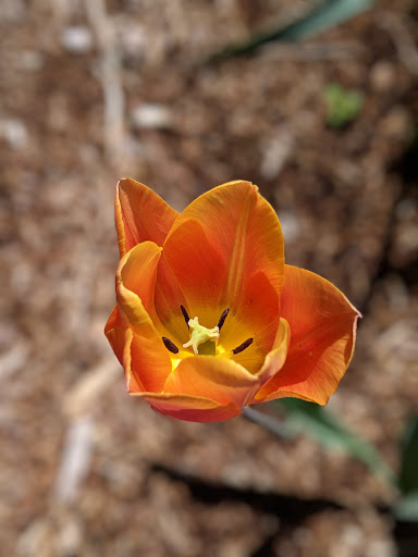 Marketing Consultant «Data-Mail Inc», reviews and photos, 240 Hartford Ave, Newington, CT 06111, USA