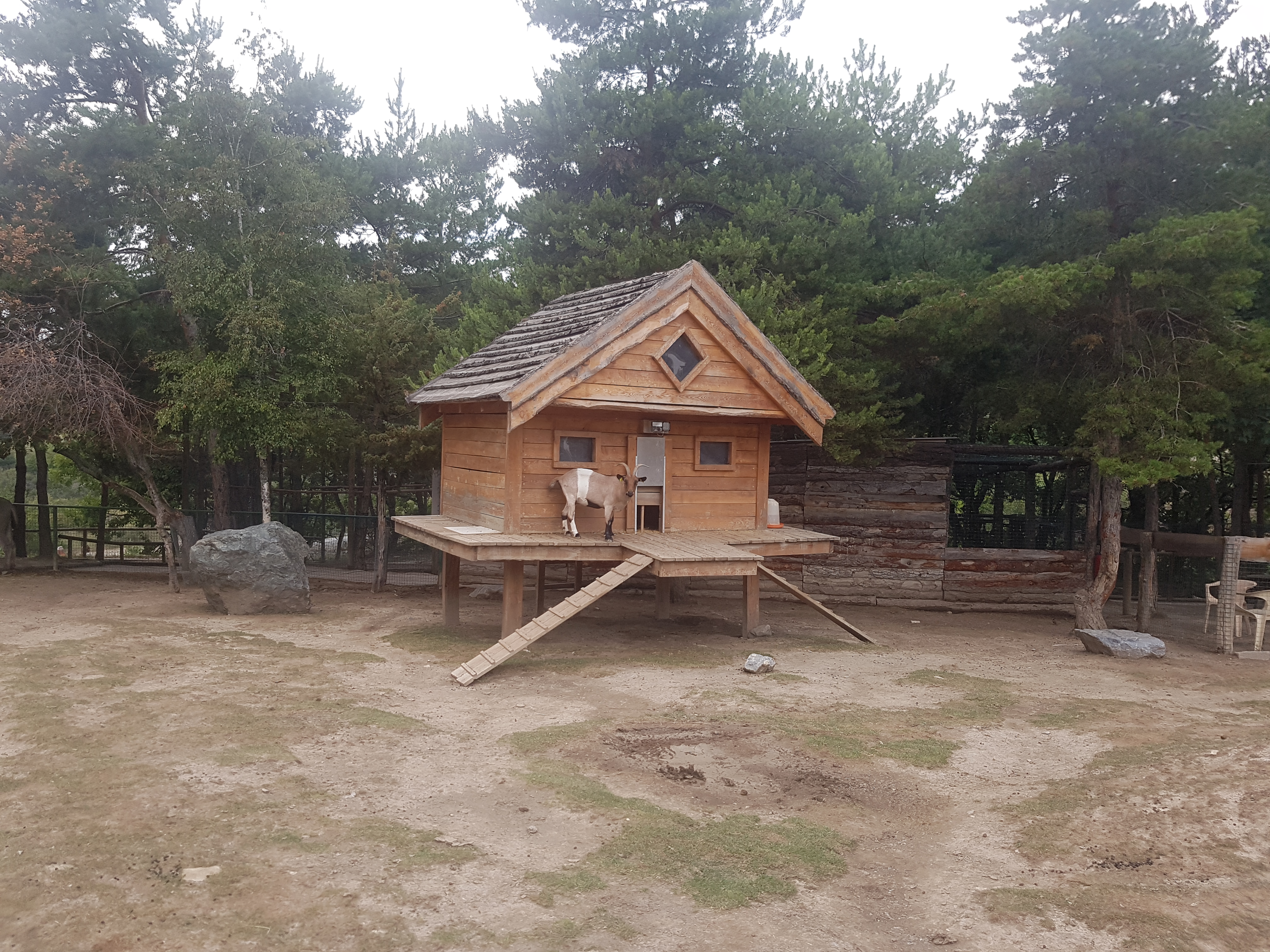 Photo n° 6 de l'avis de Boby.w fait le 22/08/2019 à 17:58