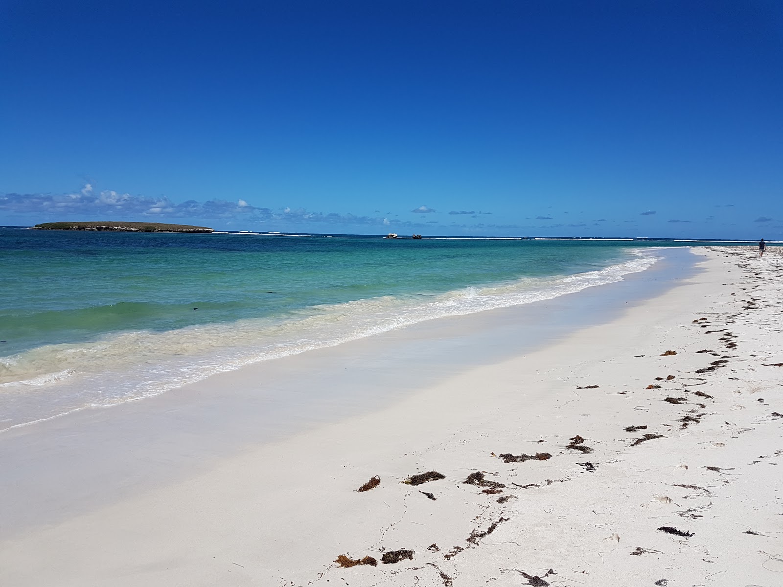 Foto di Jurien Bay con una superficie del sabbia pura bianca