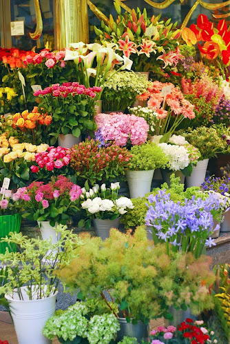 Reviews of Watford Junction Flowers in Watford - Florist