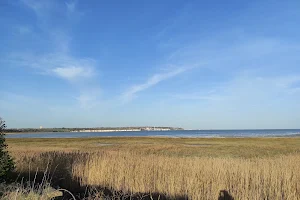 Pegwell Bay Country Park image