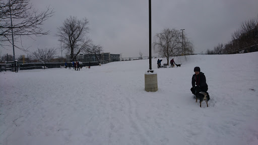 Park «Eugene Simpson Stadium Park», reviews and photos, 426 E Monroe Ave, Alexandria, VA 22301, USA