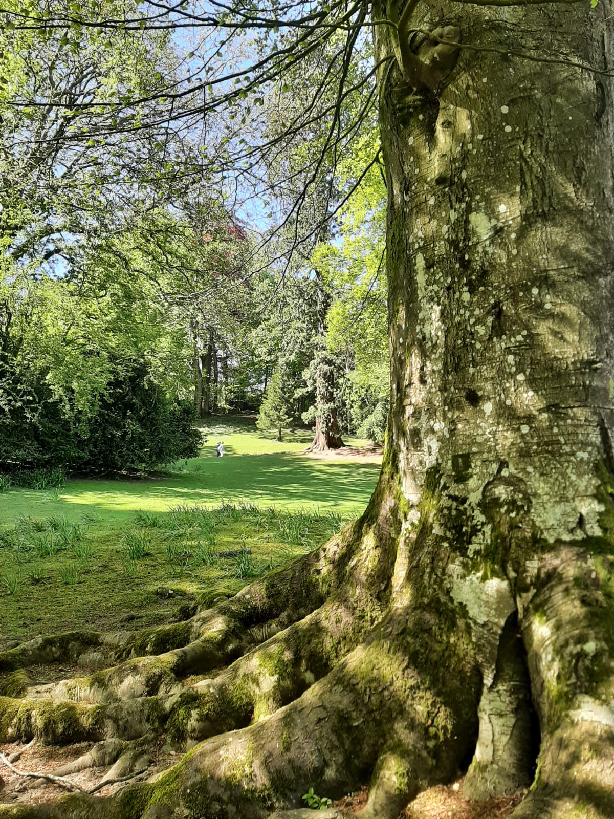 Photo n° 13 de l'avis de Louise.i fait le 04/05/2023 à 17:23