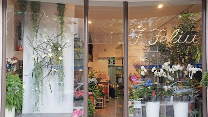 Flores Feliu en Valencia