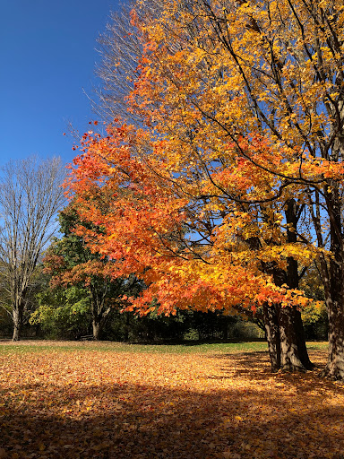 National Park «Moores Creek National Battlefield», reviews and photos, 40 Patriots Hall Dr, Currie, NC 28435, USA