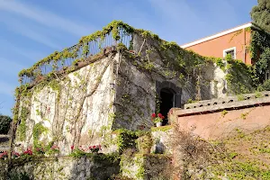 Il Giardino dei Lucchesi - Country Houses image