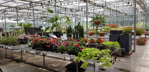 Garden Center «Blooms at Belle Mead», reviews and photos, 1980 US-206, Belle Mead, NJ 08502, USA