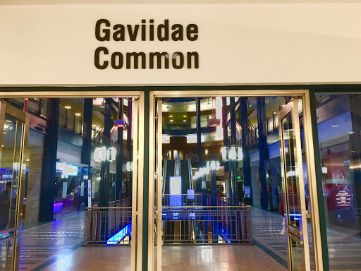 Shopping Mall «Gaviidae Common», reviews and photos, 651 Nicollet Mall #125, Minneapolis, MN 55402, USA