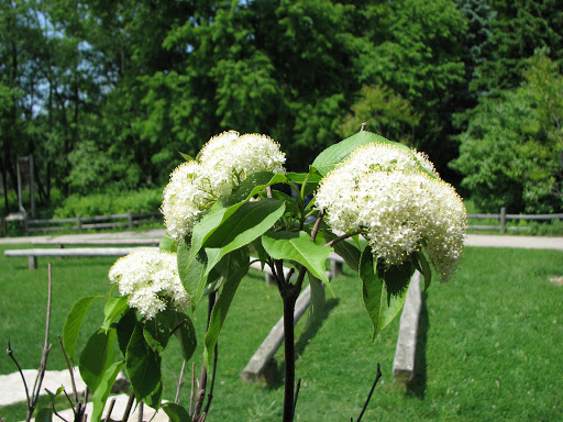 Nature Preserve «River Trail Nature Center», reviews and photos, 3120 Milwaukee Ave, Northbrook, IL 60062, USA