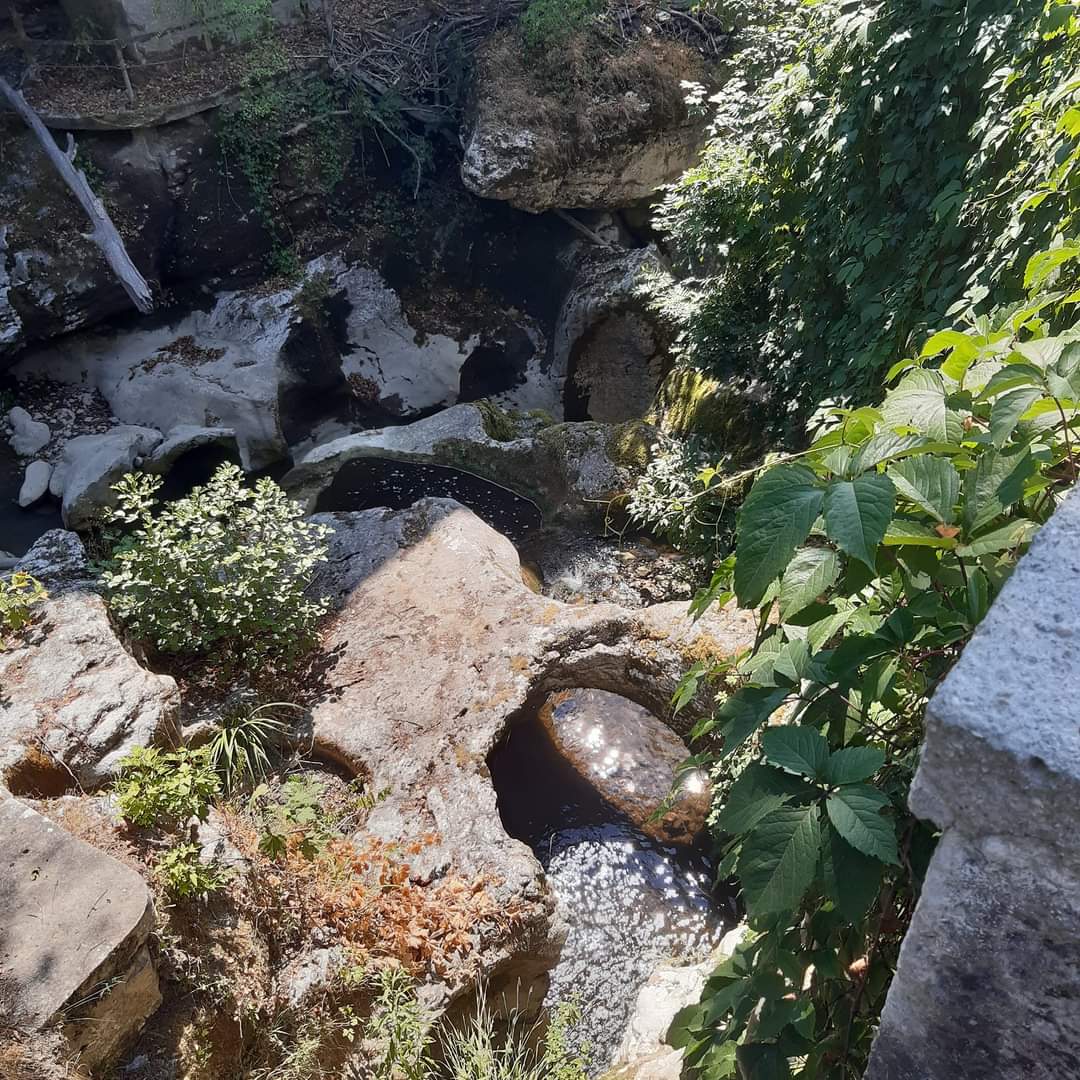 Photo n° 1 de l'avis de Anne.i fait le 13/08/2022 à 16:33