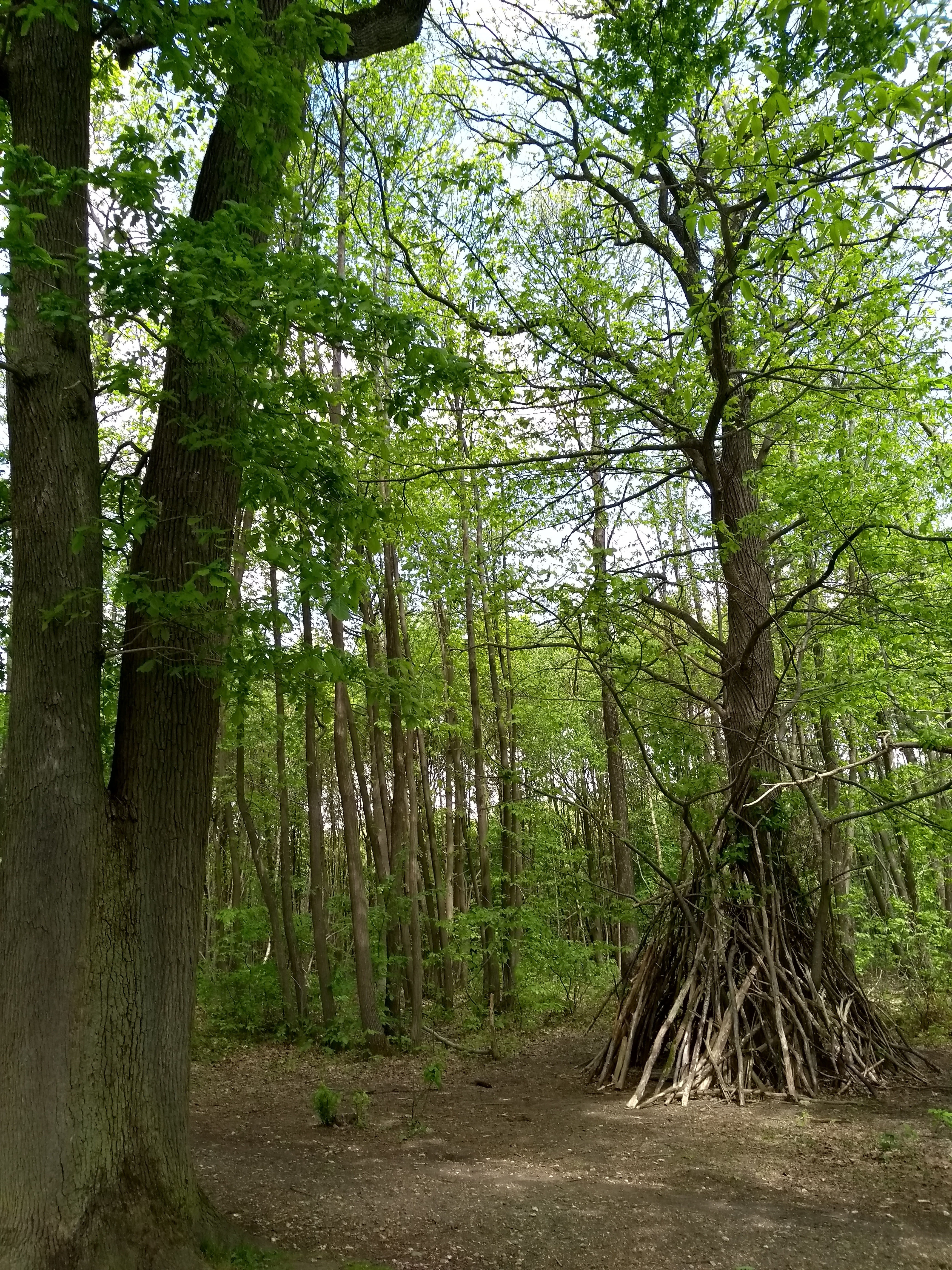 Photo n° 9 de l'avis de Martial.O fait le 05/05/2019 à 19:03