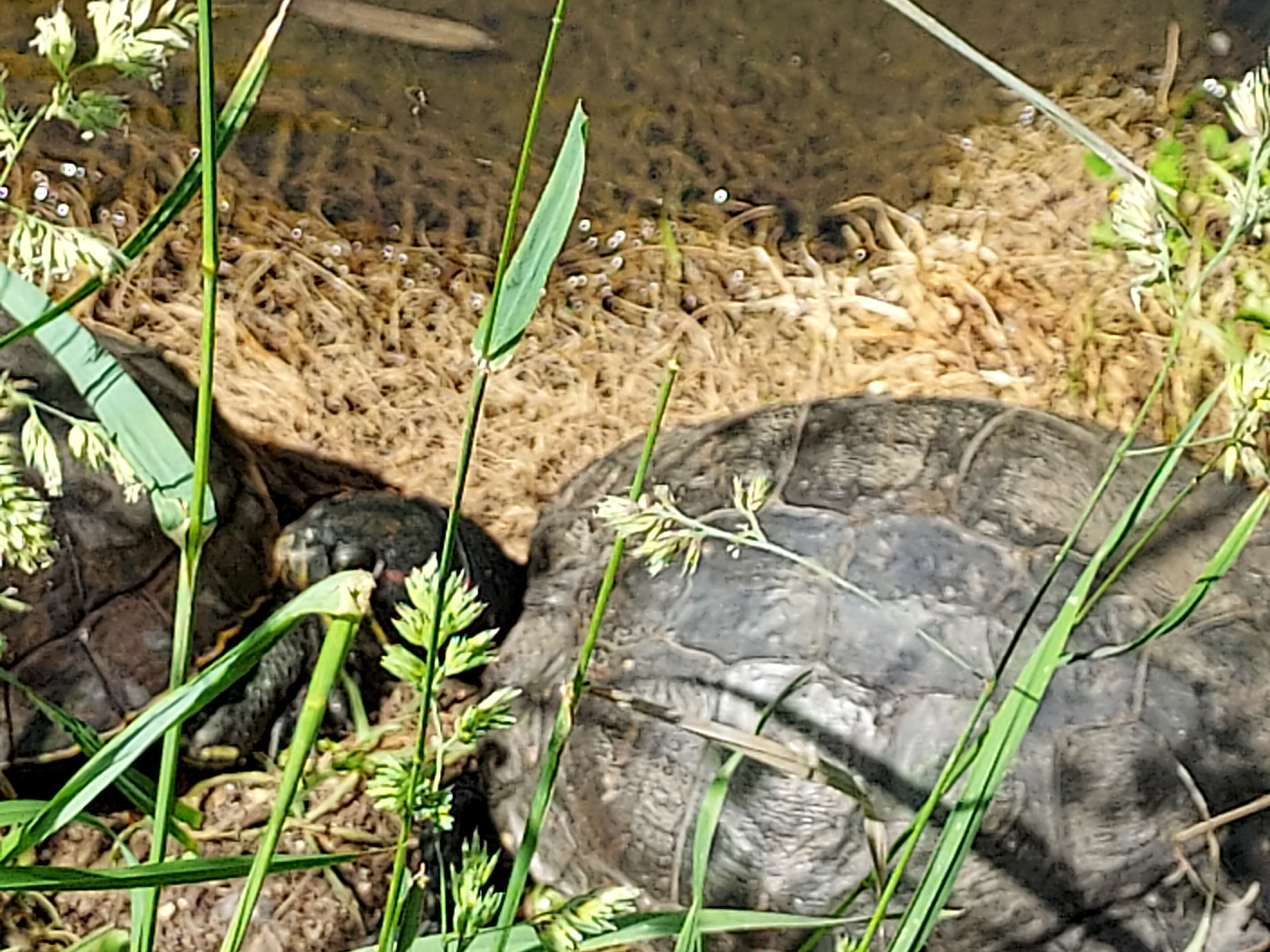 Photo n° 9 de l'avis de Viviane.a fait le 21/05/2022 à 14:29