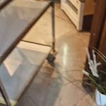 Photo n°1 de l'avis de Momi.i fait le 12/03/2024 à 17:43 sur le  Trattoria Angiolino à Campi Bisenzio