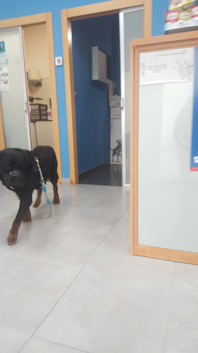 Clínica Veterinaria Sol y Luz en Sant Vicent del Raspeig