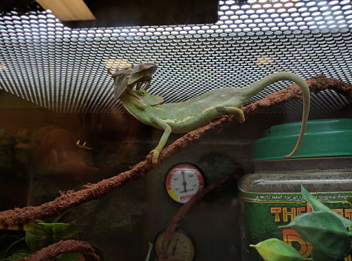 Pet Supply Store «Petco Animal Supplies», reviews and photos, 4632 Broadway, Allentown, PA 18104, USA