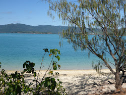Photo de Sandy Bay situé dans une zone naturelle