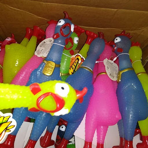 Toy Store «The Nature And Discovery Store,Inc.», reviews and photos, 19 Hughes St, New Ringgold, PA 17960, USA